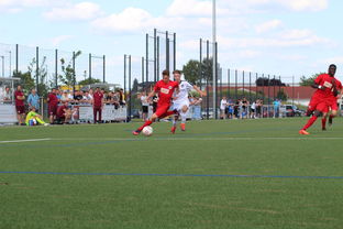 九游APP-鹿岛鹿角备战细节频出，球队积极调整状态